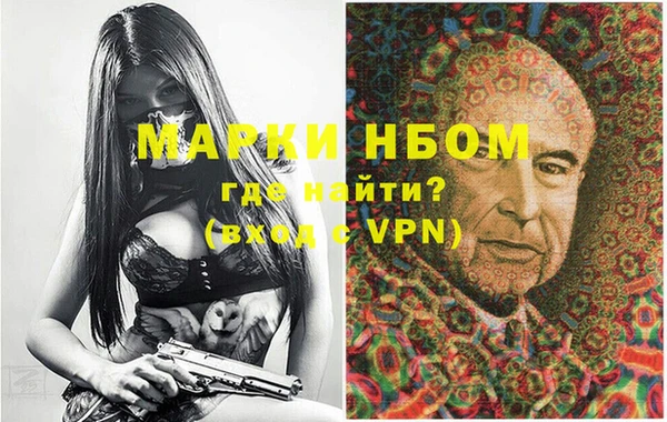 шишки Кукмор