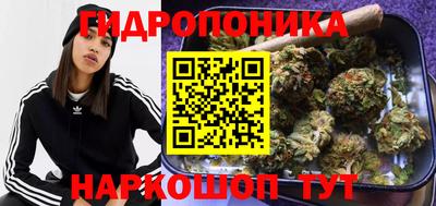 сатива Будённовск