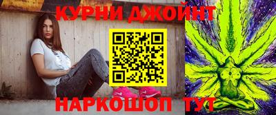 сатива Будённовск