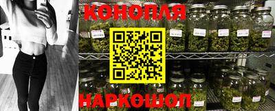 сатива Будённовск