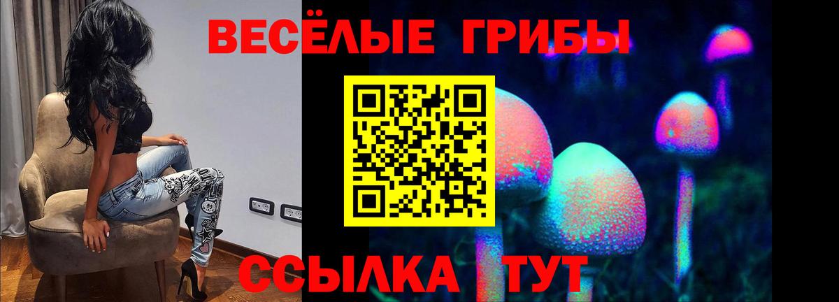 Псилоцибиновые грибы Psilocybe Волжский